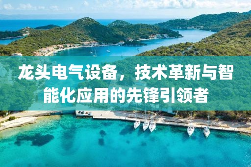 龙头电气设备，技术革新与智能化应用的先锋引领者