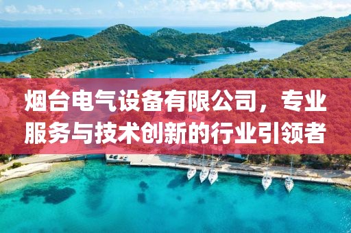 烟台电气设备有限公司，专业服务与技术创新的行业引领者