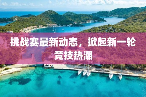挑战赛最新