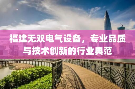 福建无双电气设备，专业品质与技术创新的行业典范