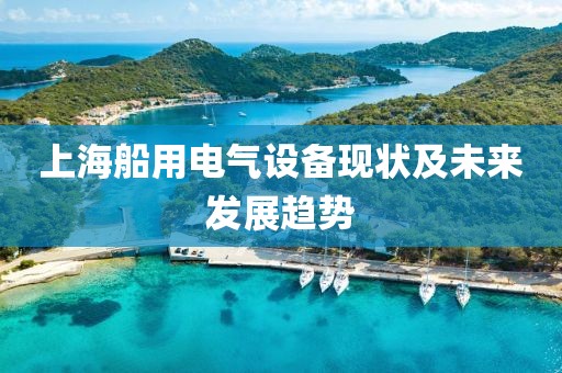 上海船用电气设备现状及未来发展趋势