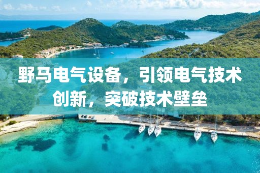 野马电气设备，引领电气技术创新，突破技术壁垒