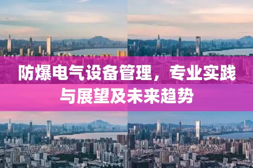 防爆电气设备管理，专业实践与展望及未来趋势