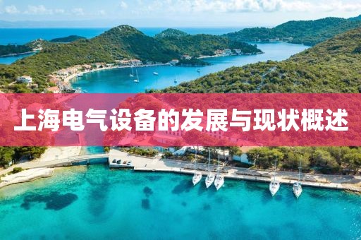 上海电气设备的发展与现状概述