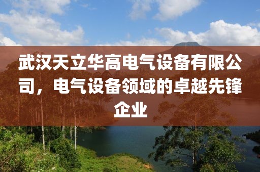 武汉天立华高电气设备有限公司，电气设备领域的卓越先锋企业