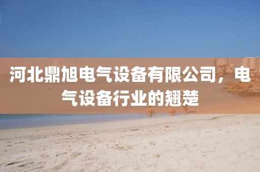 河北鼎旭电气设备有限公司，电气设备行业的翘楚