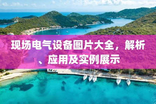 现场电气设备图片大全，解析、应用及实例展示