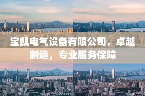 宝凯电气设备有限公司，卓越制造，专业服务保障