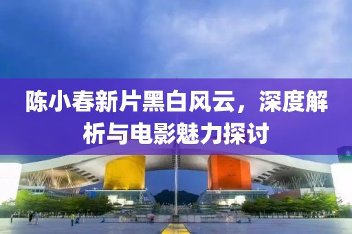 陈小春新片黑白风云，深度解析与电影魅力探讨