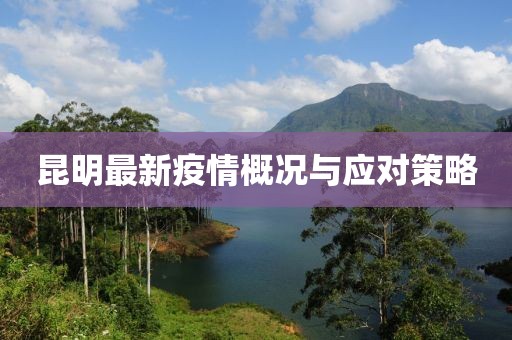昆明最新疫情概况与应对策略