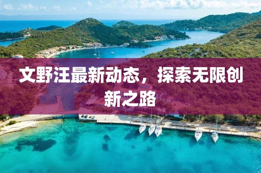 文野汪最新