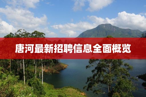 唐河最新招聘信息全面概览
