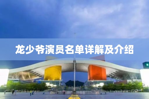 龙少爷演员名单详解及介绍