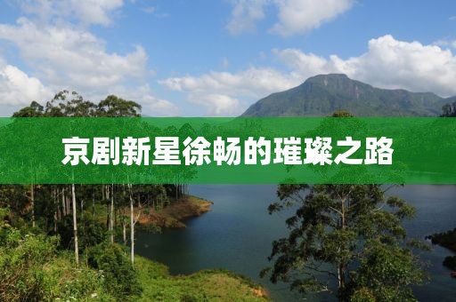 京剧新星徐畅的璀璨之路