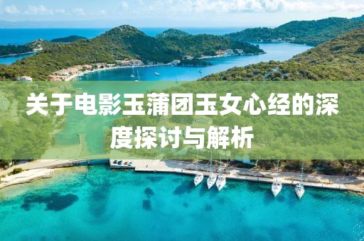 关于电影玉蒲团玉女心经的深度探讨与解析