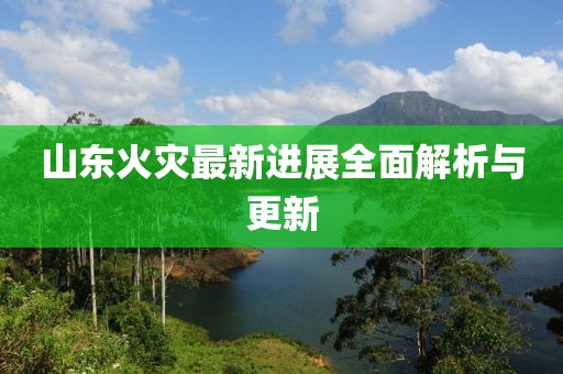 山东火灾最新进展全面解析与更新