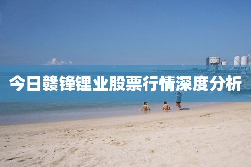 今日赣锋锂业股票行情深度分析