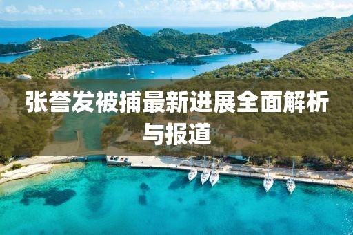 张誉发被捕最新进展全面解析与报道