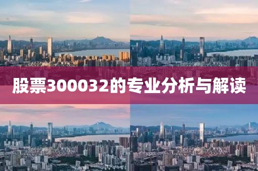 股票300032的专业分析与解读