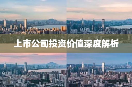 上市公司投资价值深度解析