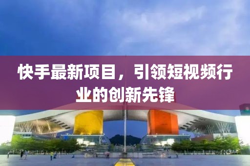 快手最新项目