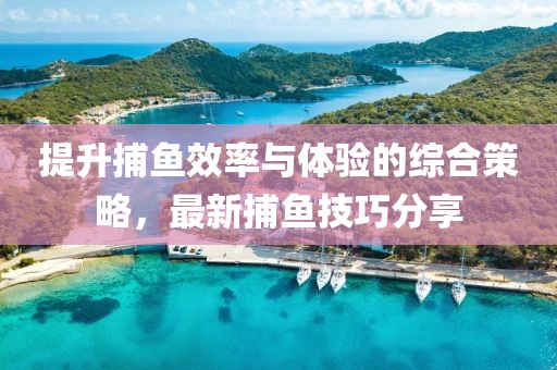 提升捕鱼效率与体验的综合策略，最新捕鱼技巧分享