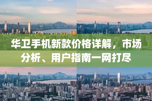 华卫手机新款价格详解，市场分析、用户指南一网打尽