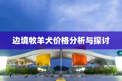 边境牧羊犬价格分析与探讨