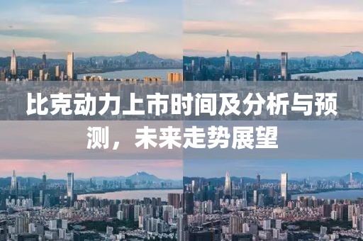 比克动力上市时间及分析与预测，未来走势展望
