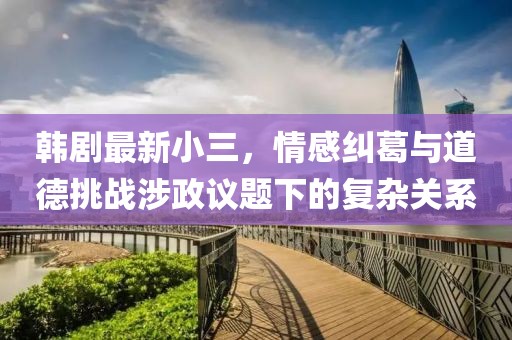 韩剧最新小三