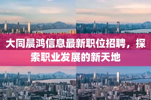 大同晨鸿信息最新职位招聘，探索职业发展的新天地