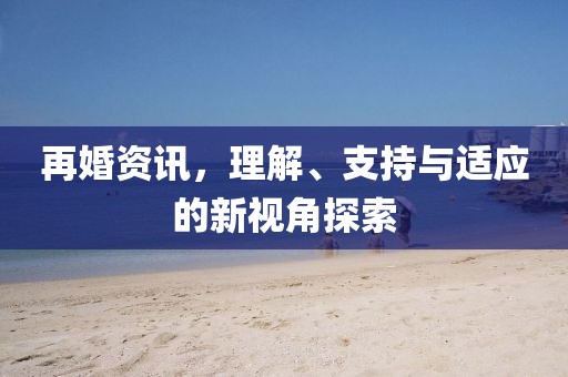 再婚资讯，理解、支持与适应的新视角探索