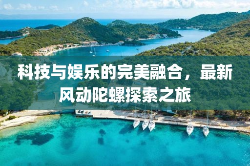 最新风动陀螺