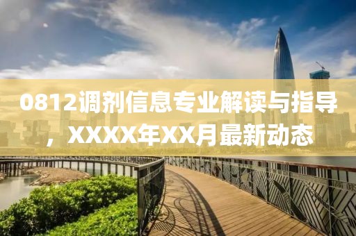 0812调剂信息专业解读与指导，XXXX年XX月最新动态