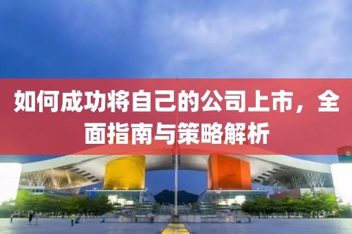 如何成功将自己的公司上市，全面指南与策略解析