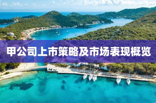 甲公司上市策略及市场表现概览