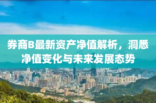 券商B最新资产净值解析，洞悉净值变化与未来发展态势