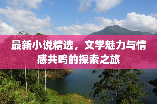 最新小说精选，文学魅力与情感共鸣的探索之旅