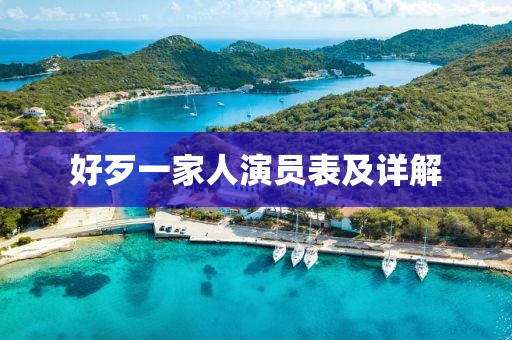 好歹一家人演员表及详解