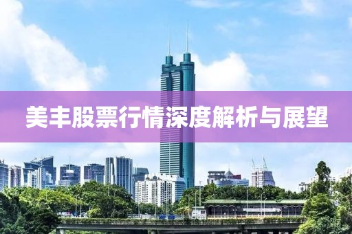 美丰股票行情深度解析与展望