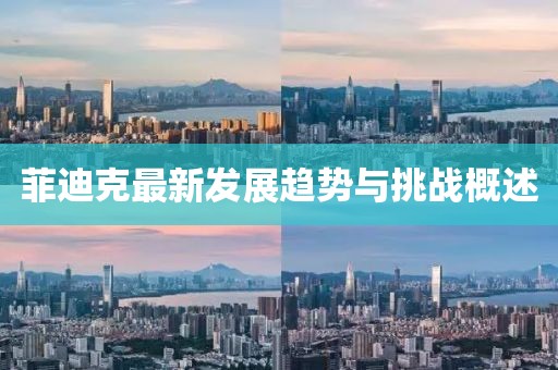 菲迪克最新