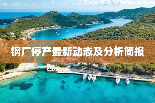 钢厂停产最新动态及分析简报