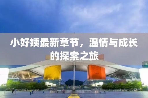 小好姨最新章节，温情与成长的探索之旅
