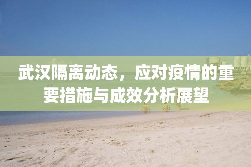 武汉隔离动态，应对疫情的重要措施与成效分析展望