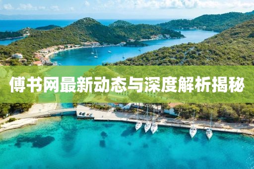 傅书网最新