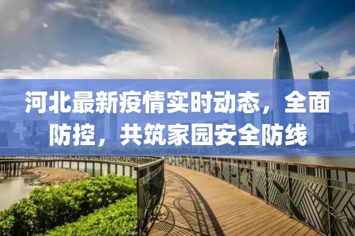 河北最新疫情实时