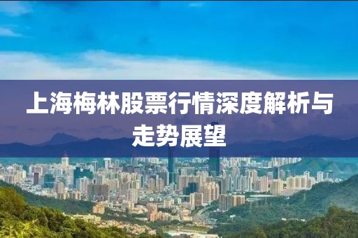 上海梅林股票行情深度解析与走势展望