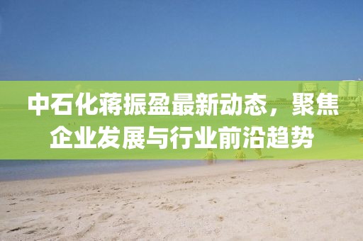 中石化蒋振盈最新动态，聚焦企业发展与行业前沿趋势