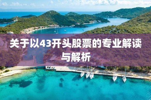 关于以43开头股票的专业解读与解析
