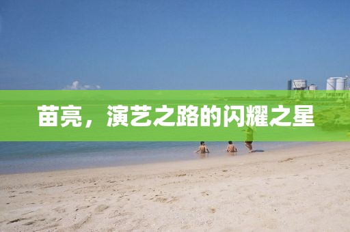 苗亮，演艺之路的闪耀之星